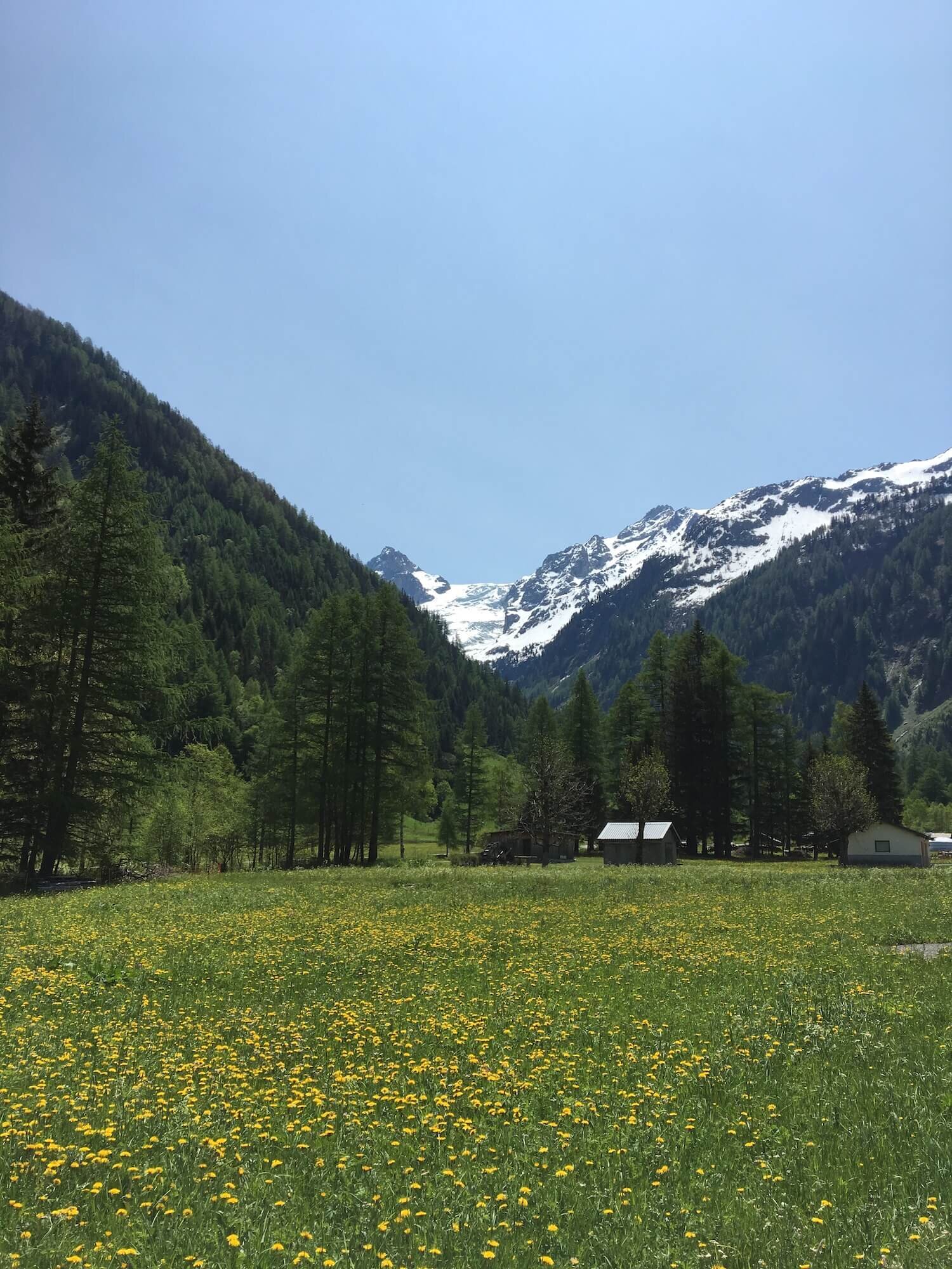 Views from Le Peuty up to Trient glacier