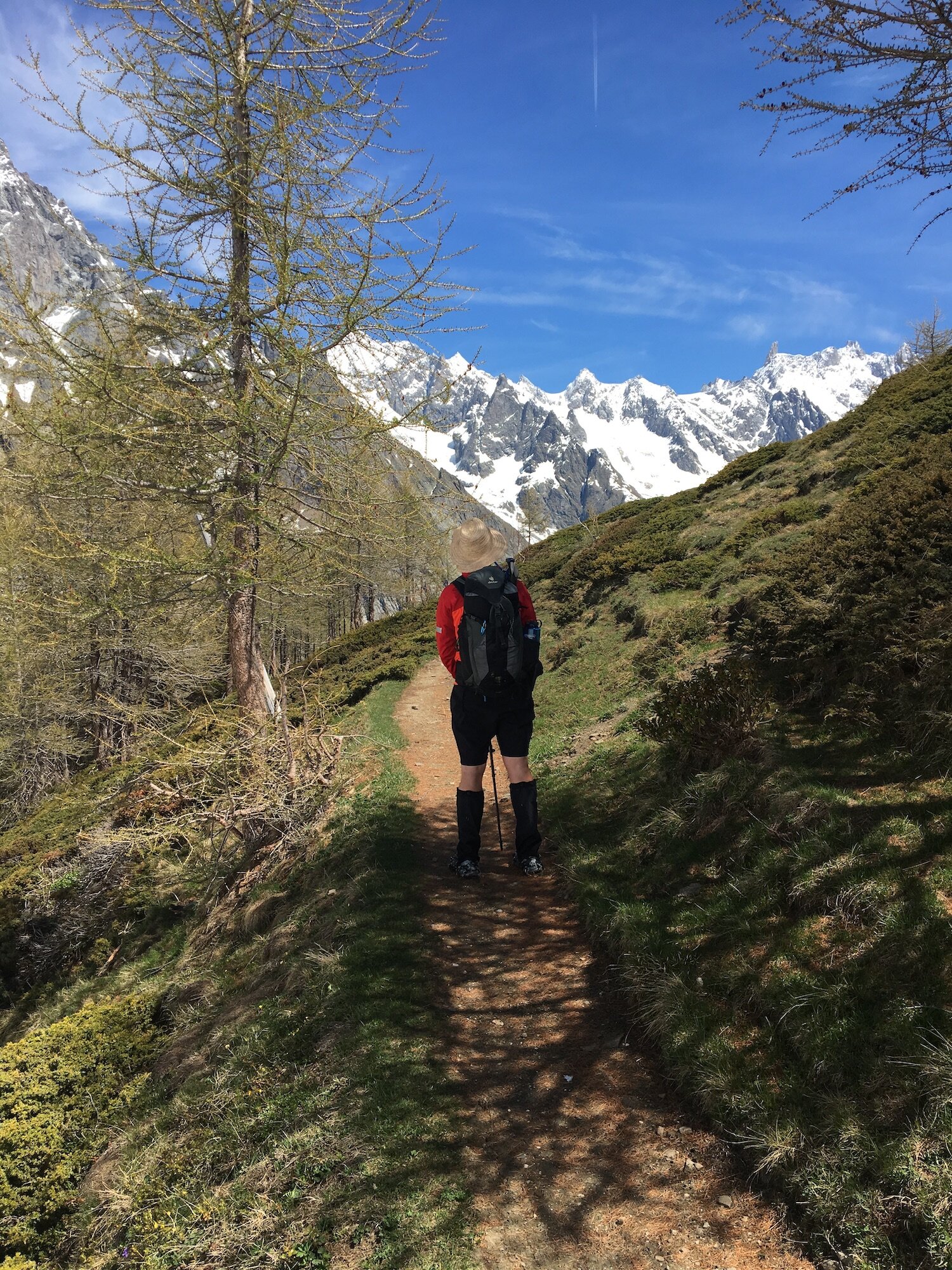 Balcony trail with Mont Blanc massif to the North