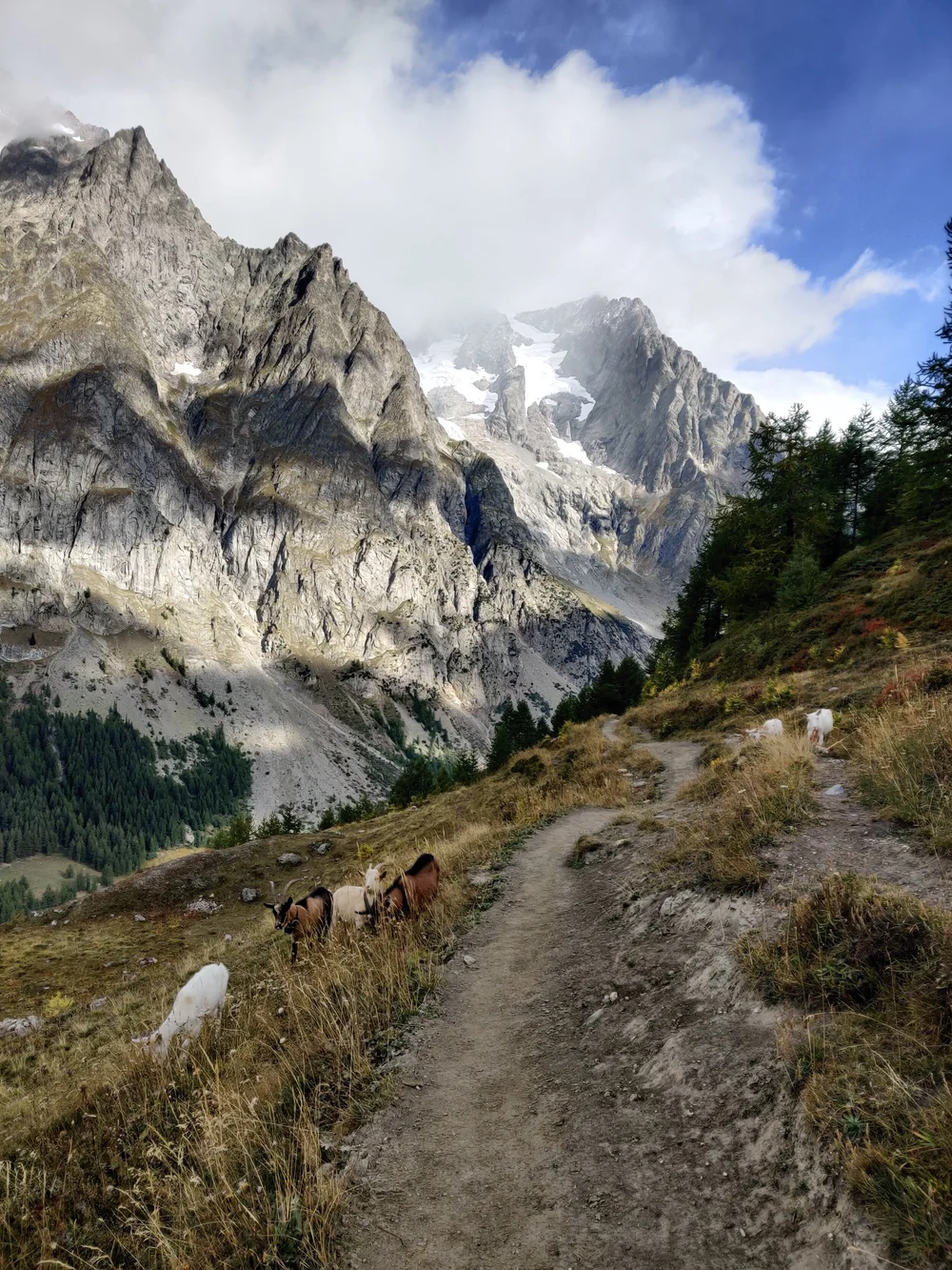Val Ferret on the Italian section of the Tour du Mont Blanc