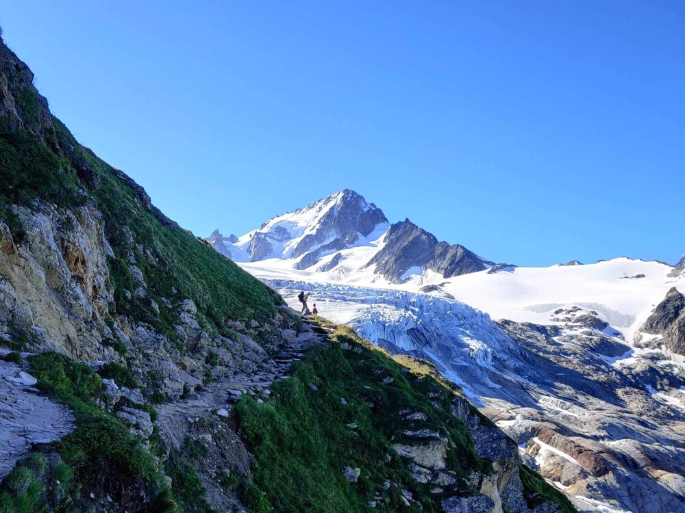 Glacier du Tour Trail.jpg