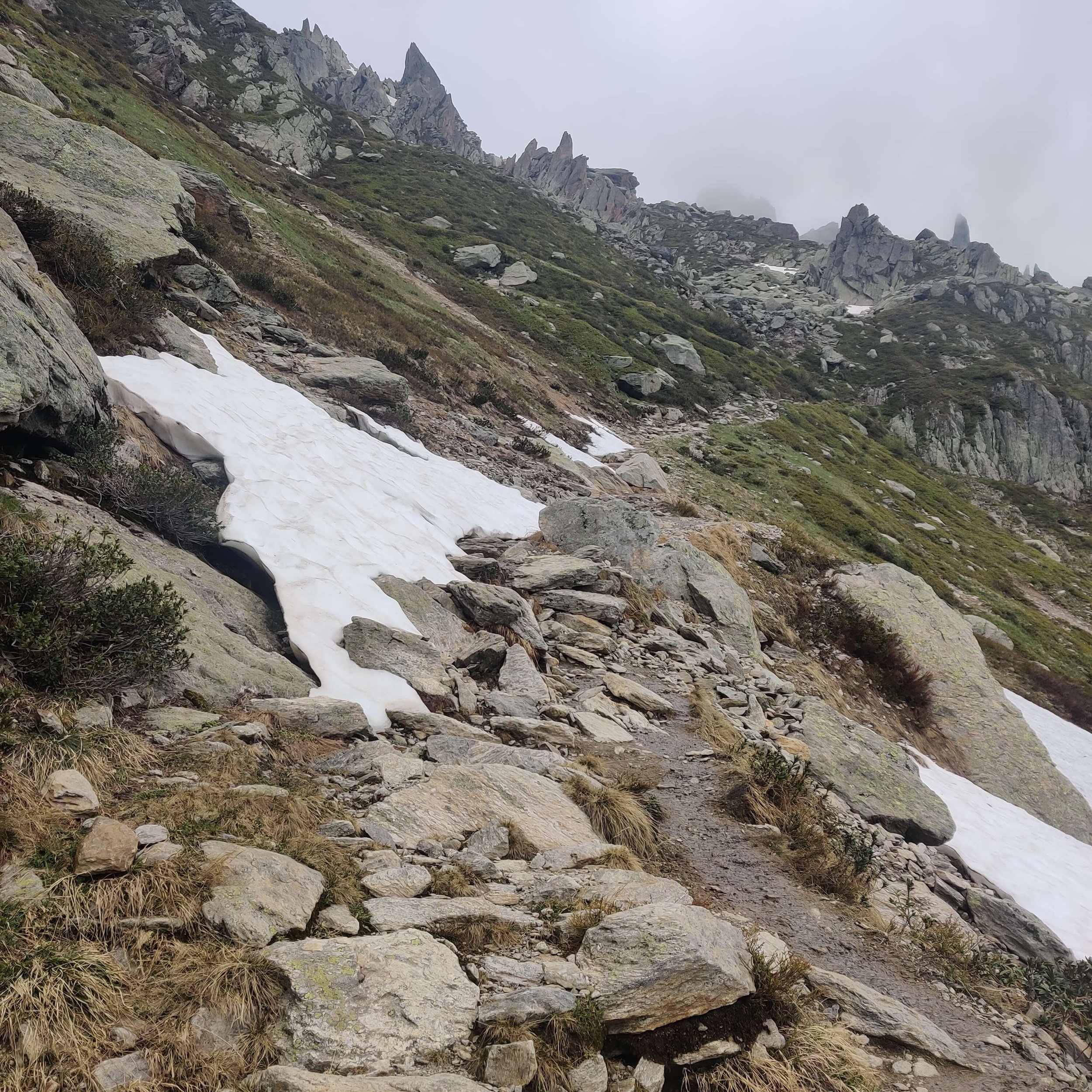 Only snow between Plan Praz and Col du Brevent for comparison_28 May 2022_resized.jpg