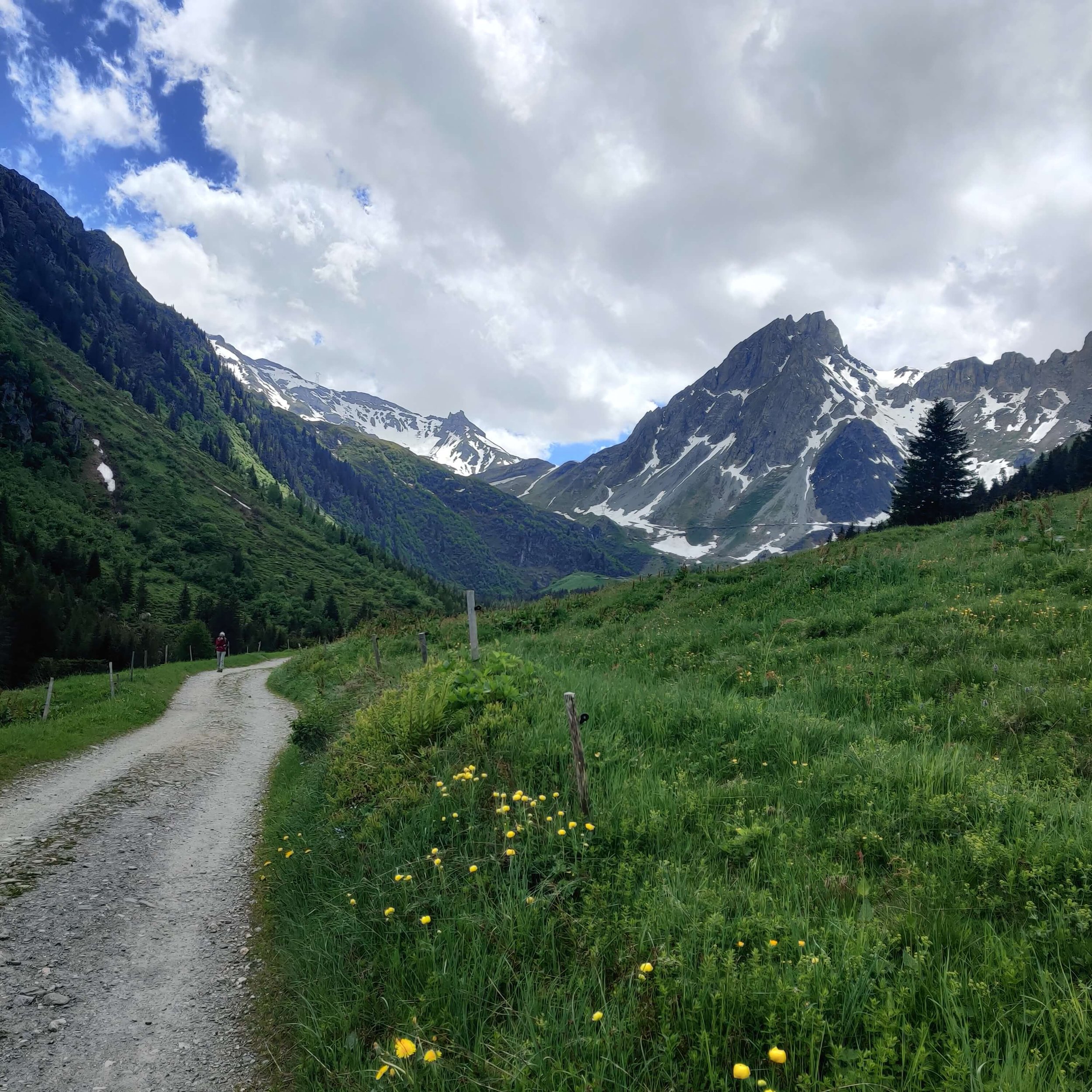 Looking towards Col du Bonhomme from trail between Nant Borrant and Refuge de la Barma_29 May 2022_resized.jpg