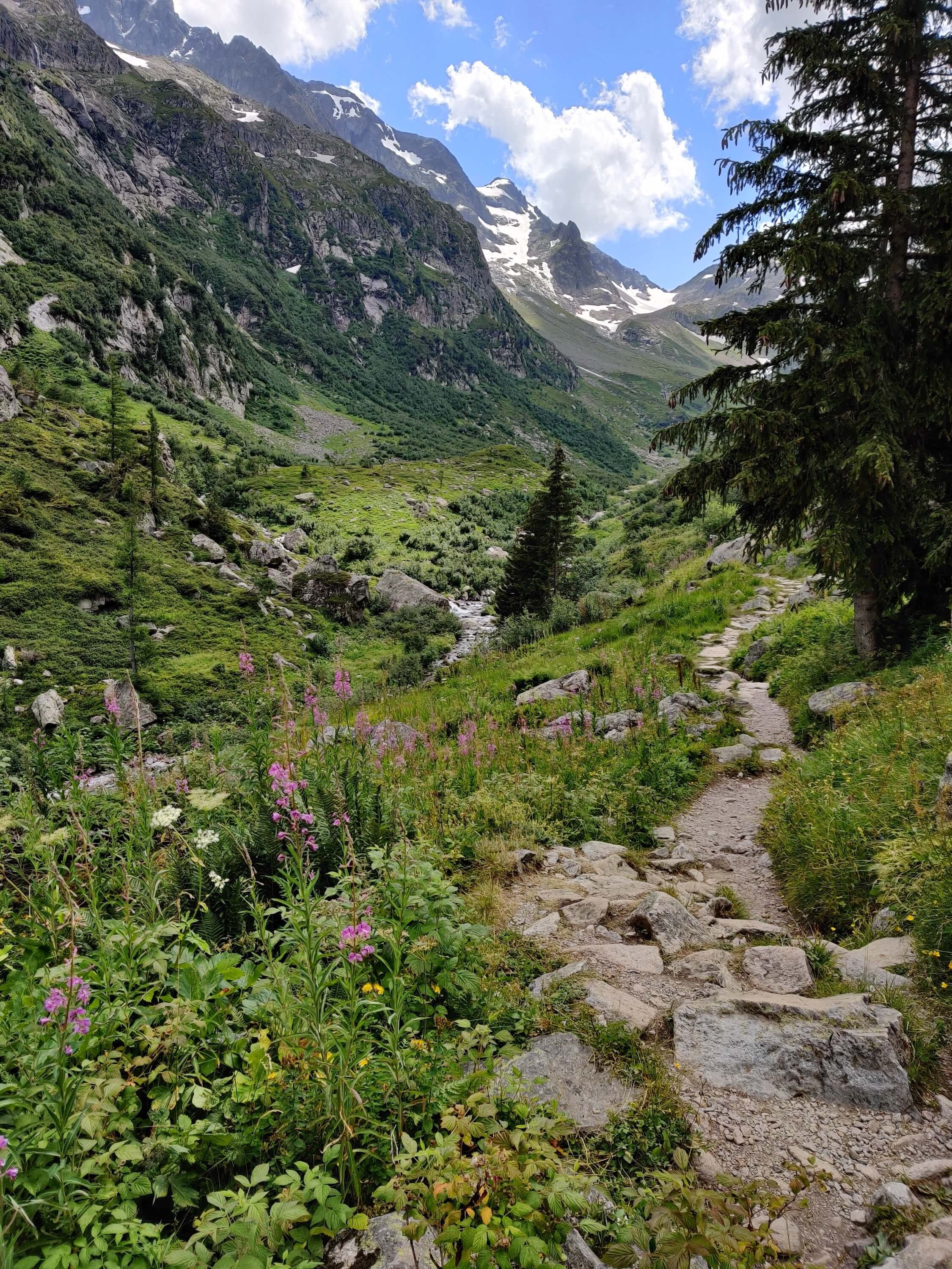 Trail to Mont Buet.jpg