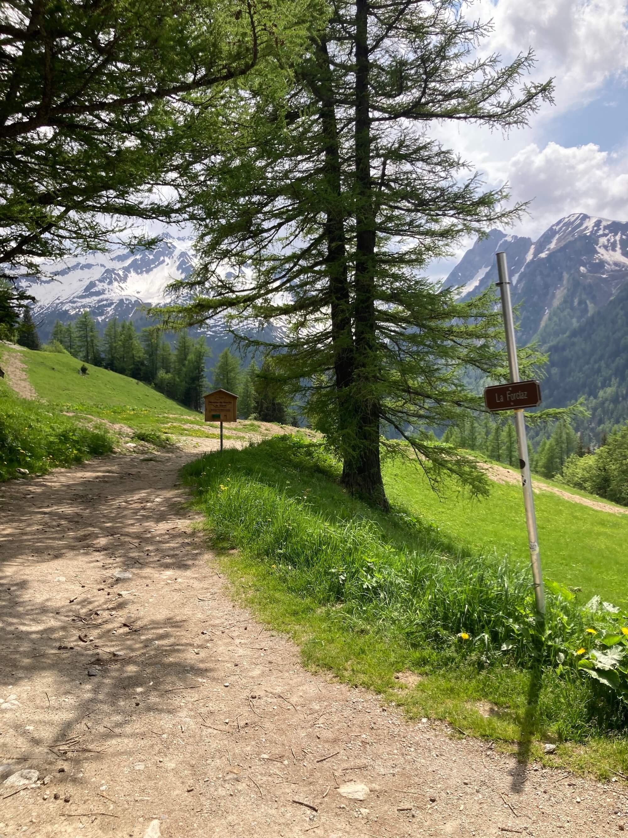 Trail near Col de la forclaz and trient (1).jpg