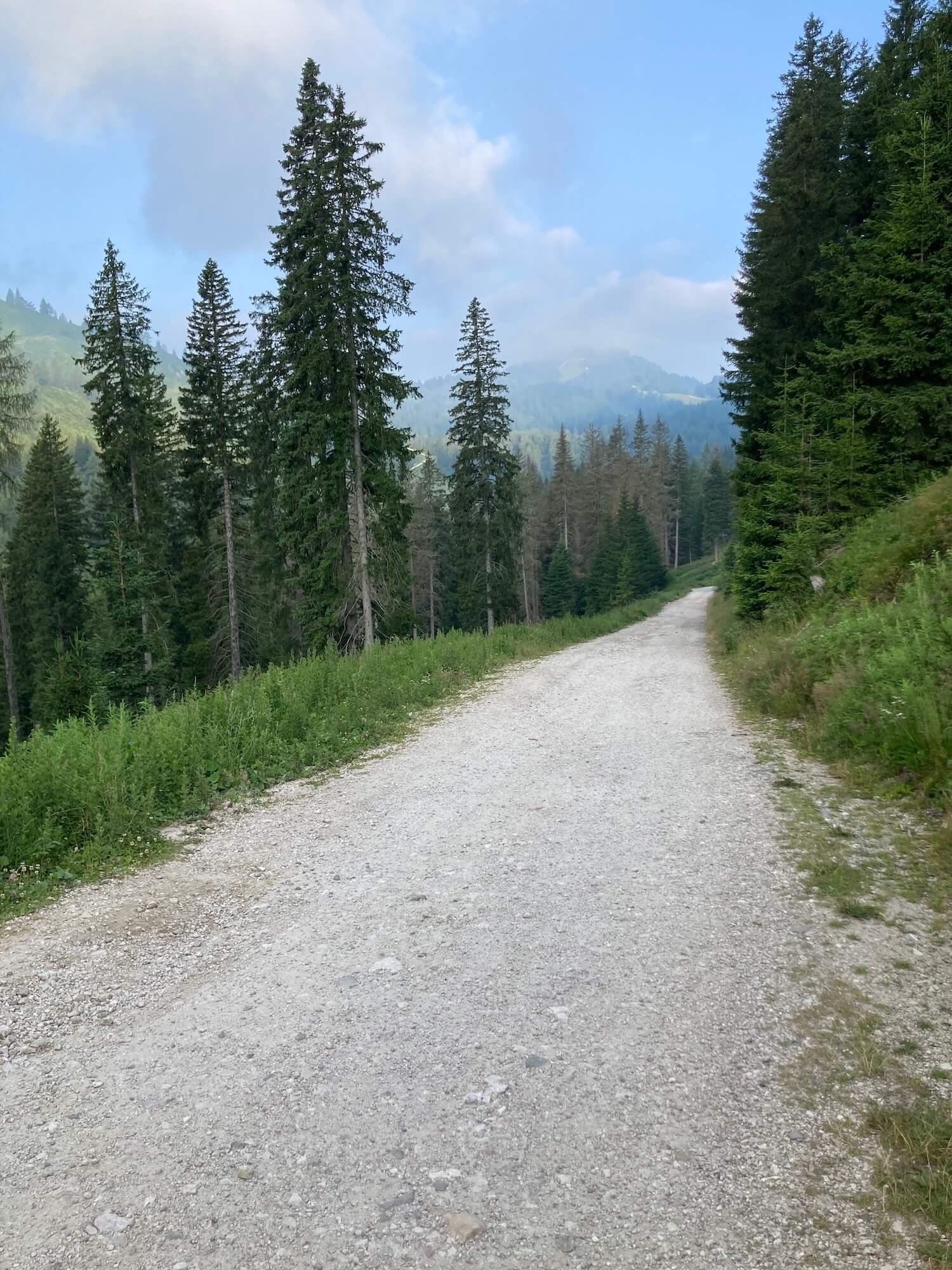 Track between Passo Staulanza and Pescul ski area (1).jpg