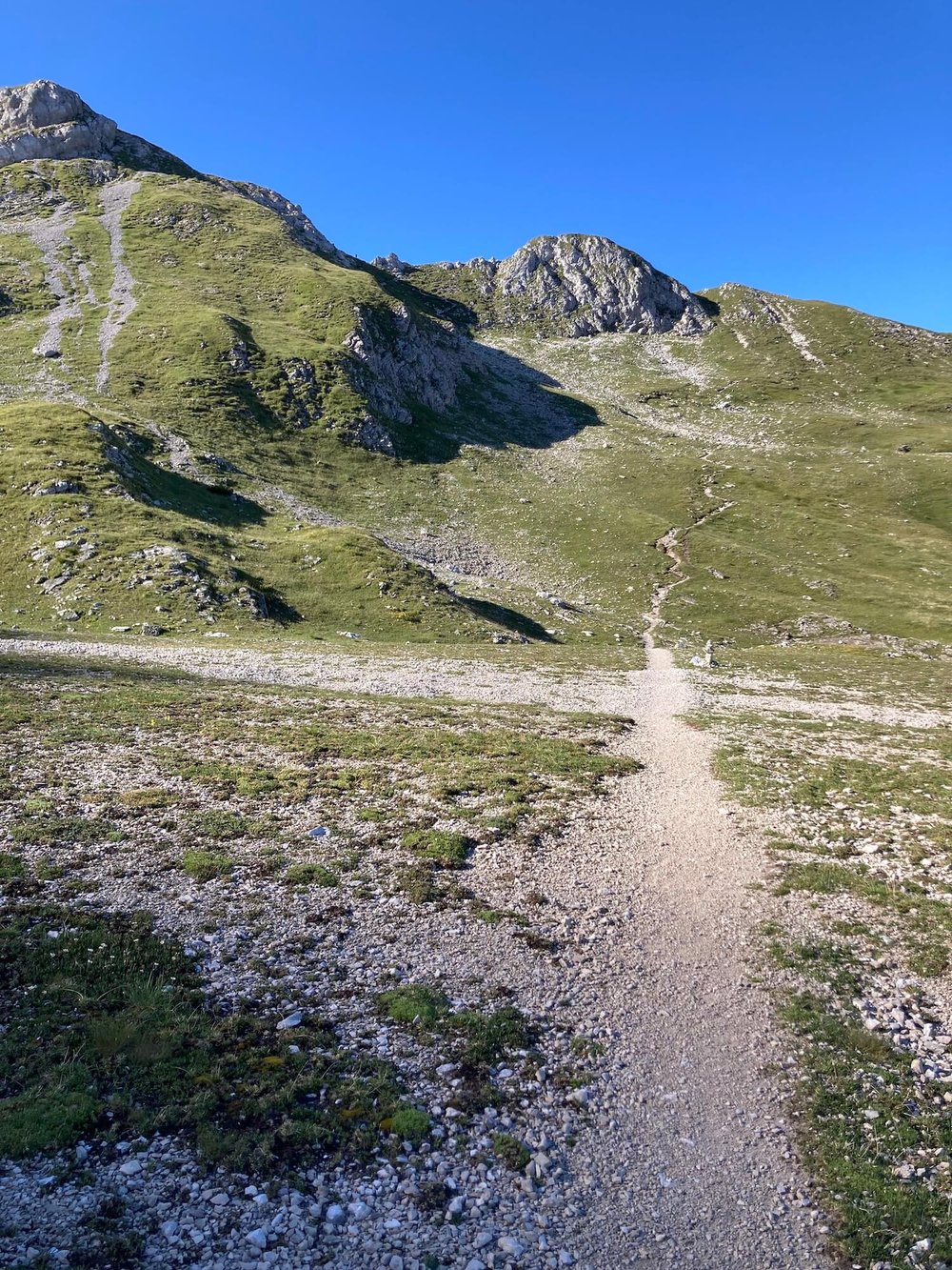 Trail up to Forcella De Zita Sud (1).jpg