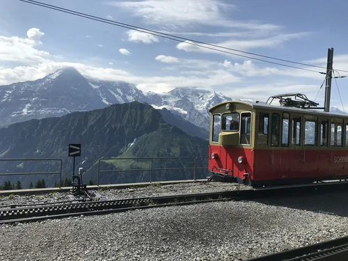 Cog railway ascending to Schynige Platte