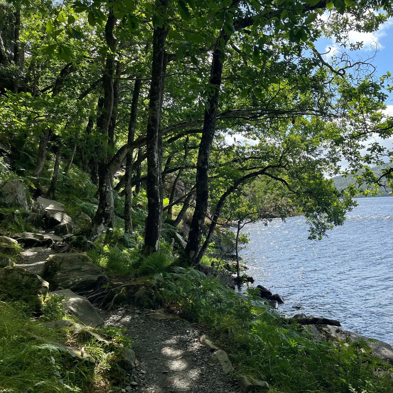 Loch Lomond beside the West Highland Way