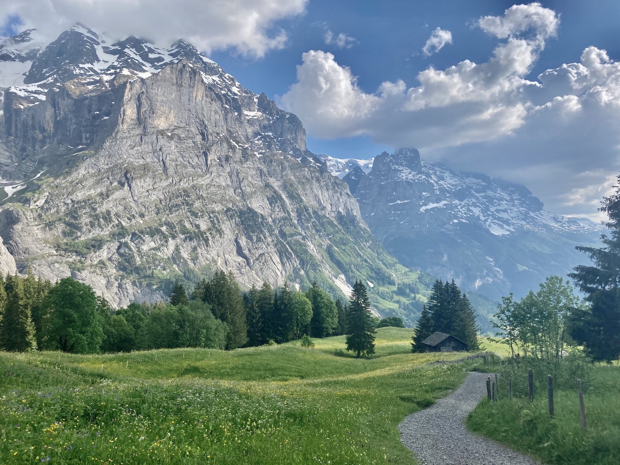 Descending toward Grindelwald.jpg