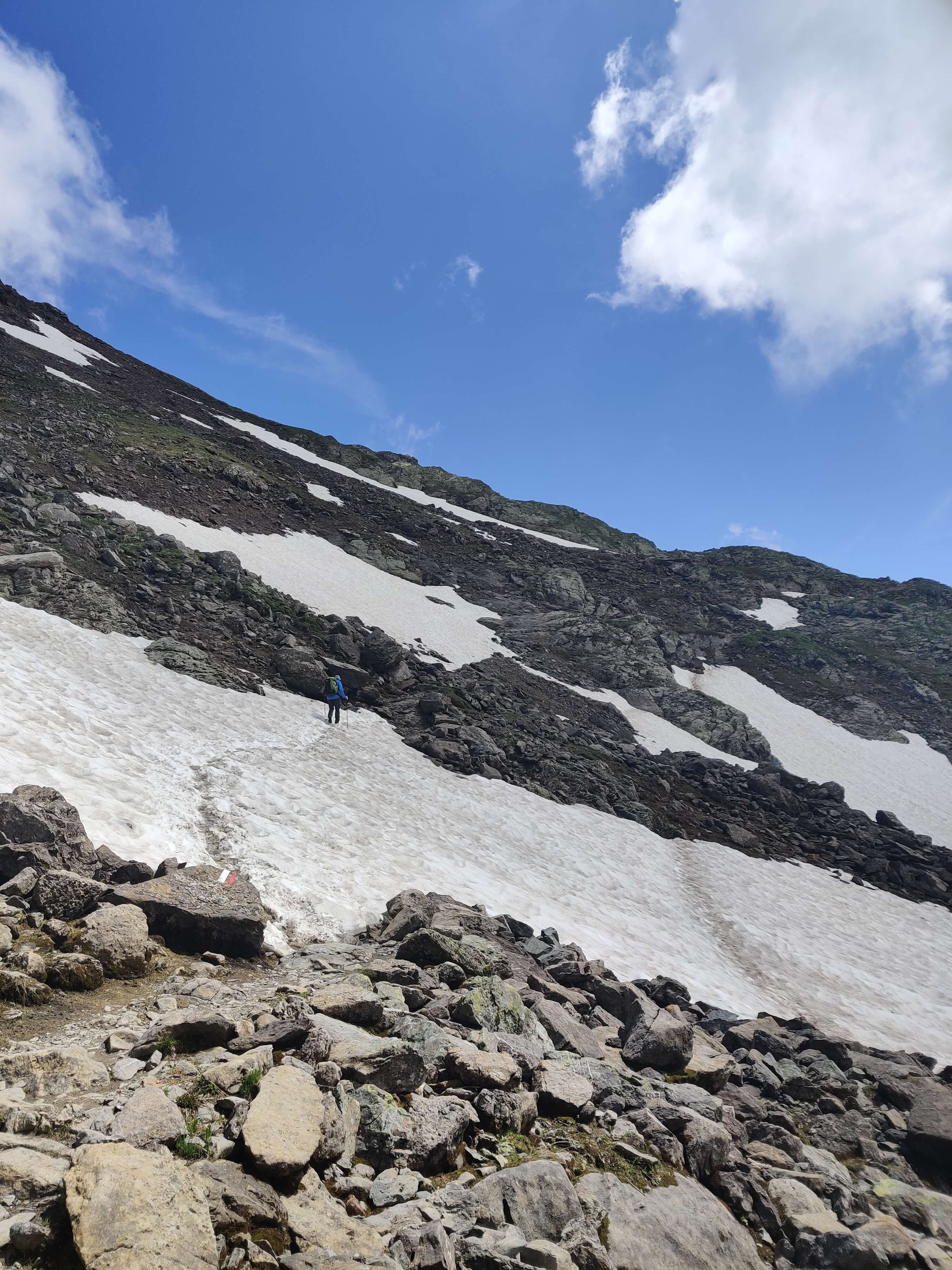 Comparison_snow on steep section between Col du Bonhomme and Col de la Croix_4 July 2020_resized.jpg