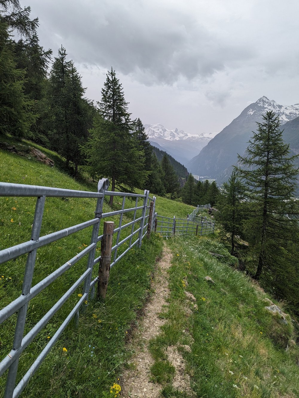 Fence for livestock grazing in the Alpine meadow alongside the Europaweg