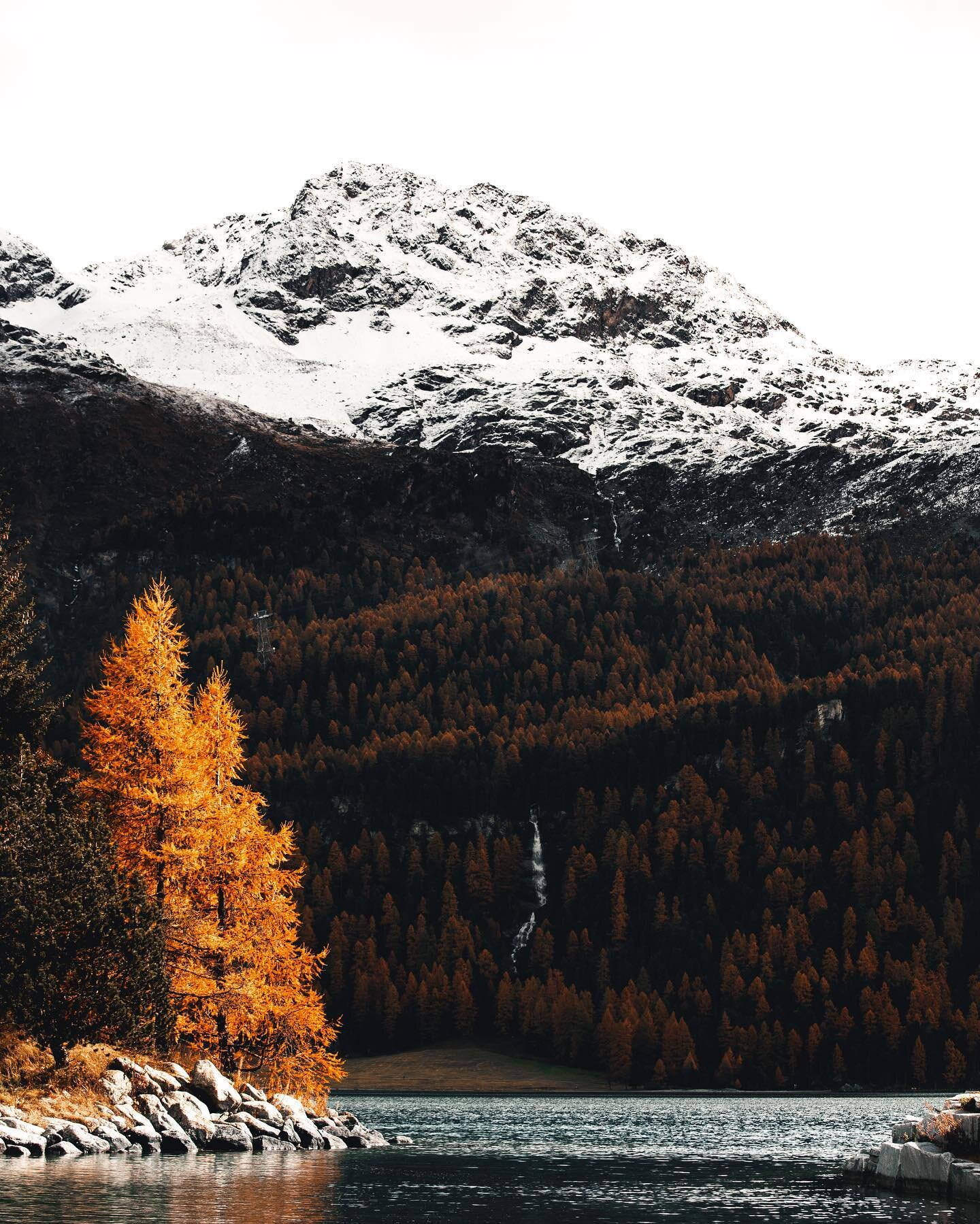Peace. 
.
.
.
.
.
#lake #lago #engadina #surlej #mountain #mountainlife #landscape  #photography  #canon #canon6d #fotografia #engadinstmoritz #engadin