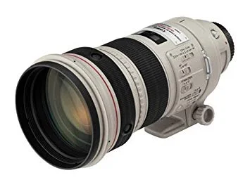 Canon 300mm 2.8 IS L