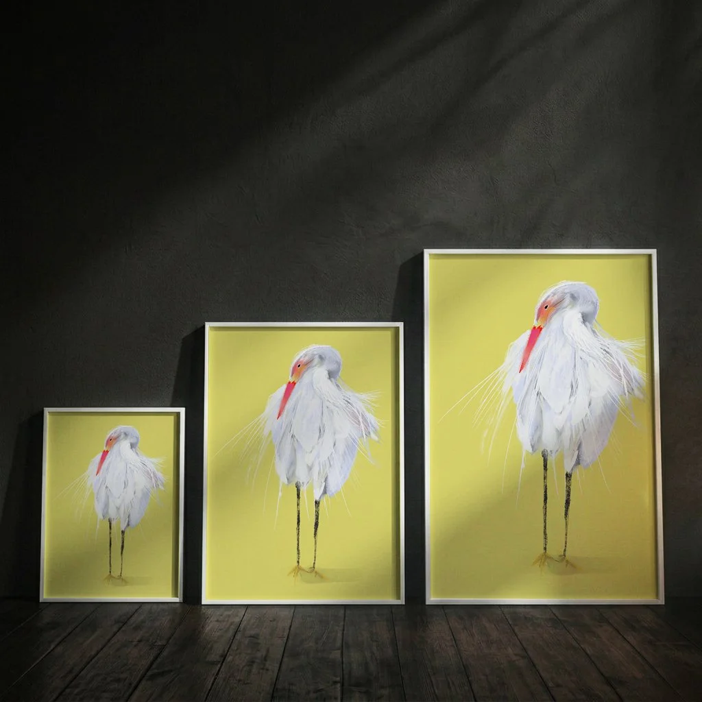 dark contemporary_EGRET.jpg