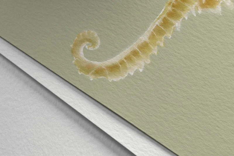 COASTAL Mockup_SeaHorse7.jpg
