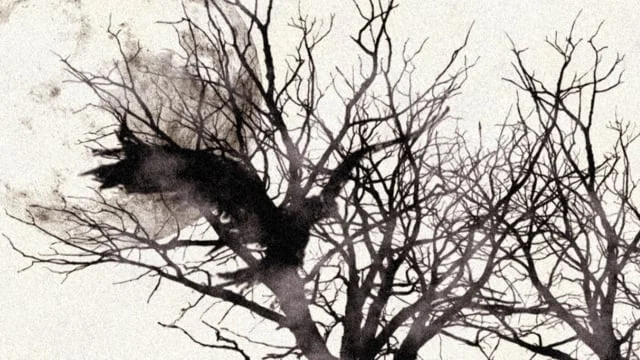 Intro animation for Youtube Channel | Alltime 10's