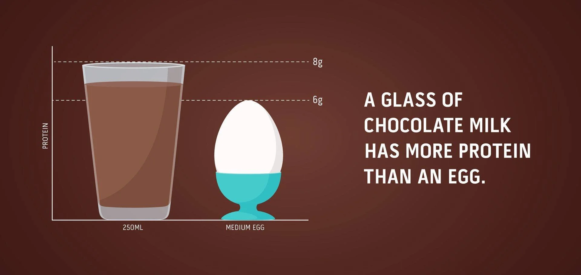 Recovery Fuel - Chocolate Milk