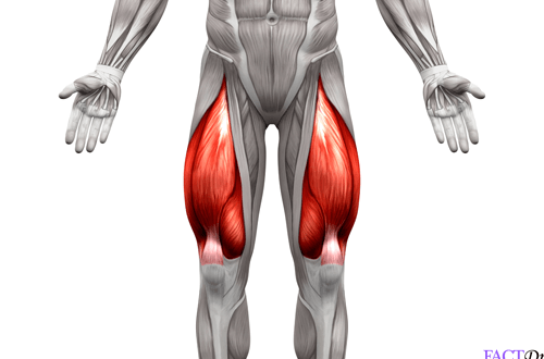 Quad &amp; Knee Burn Out When Running