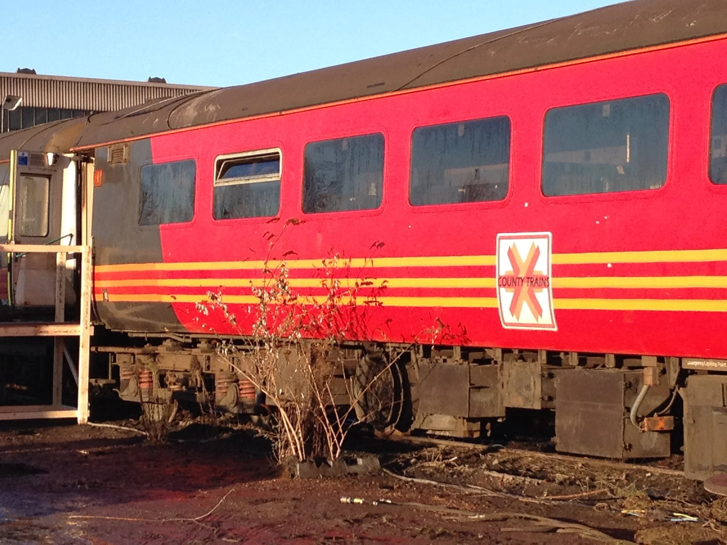 Train livery 2.JPG