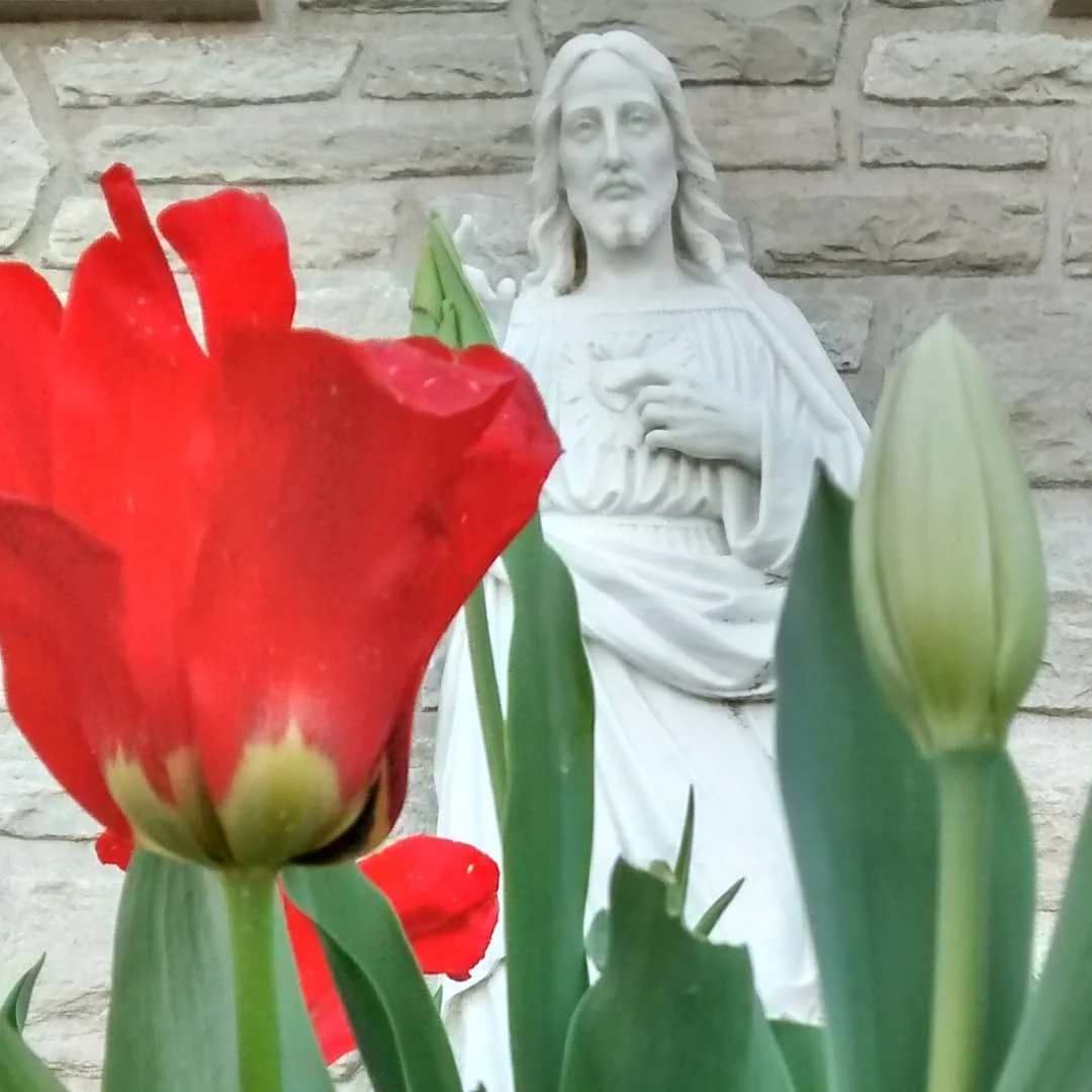 Sacred Heart of Jesus with spring flowers, spring at White House Jesuit Retreat, St Louis MO