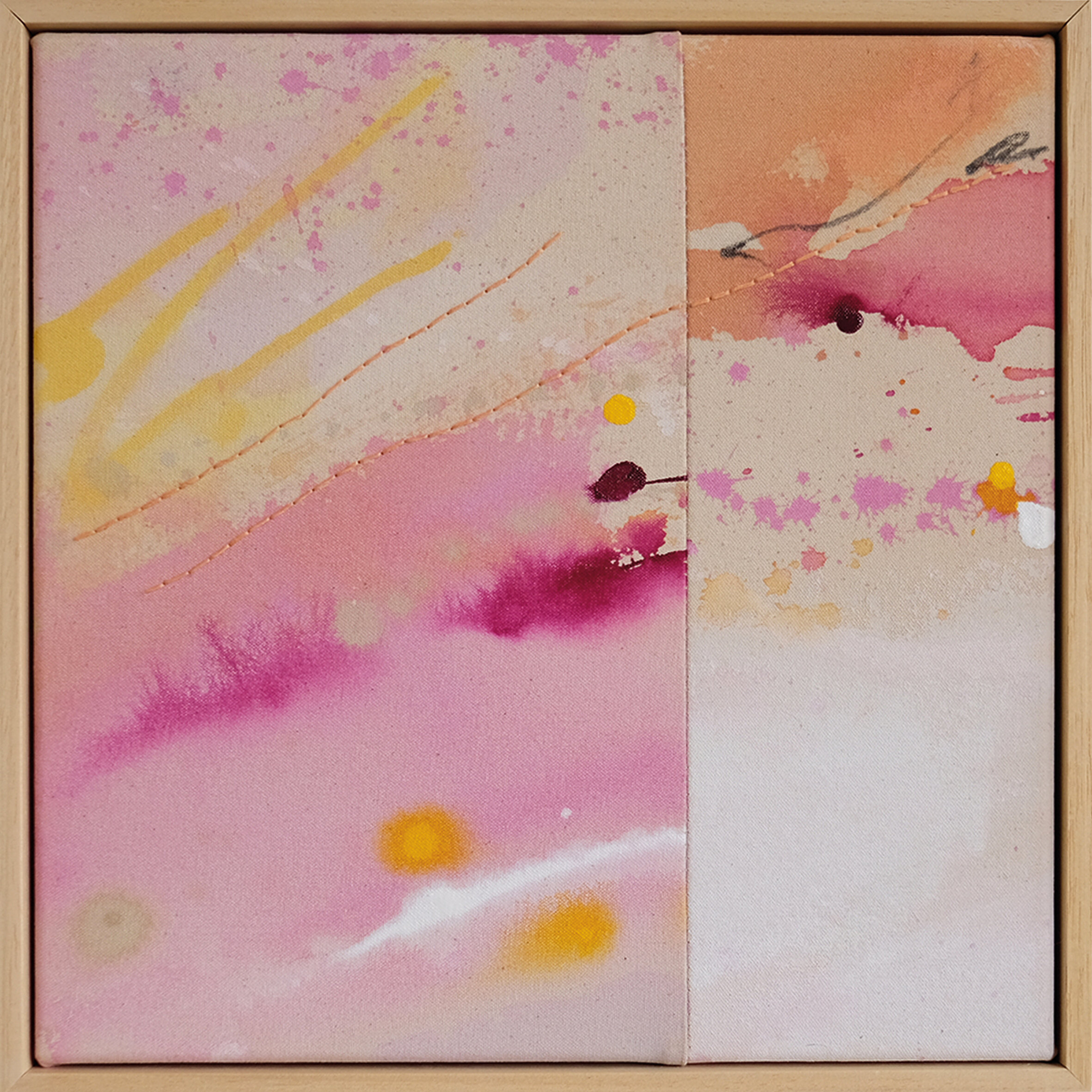 Salt &amp; Stitch - mini 13