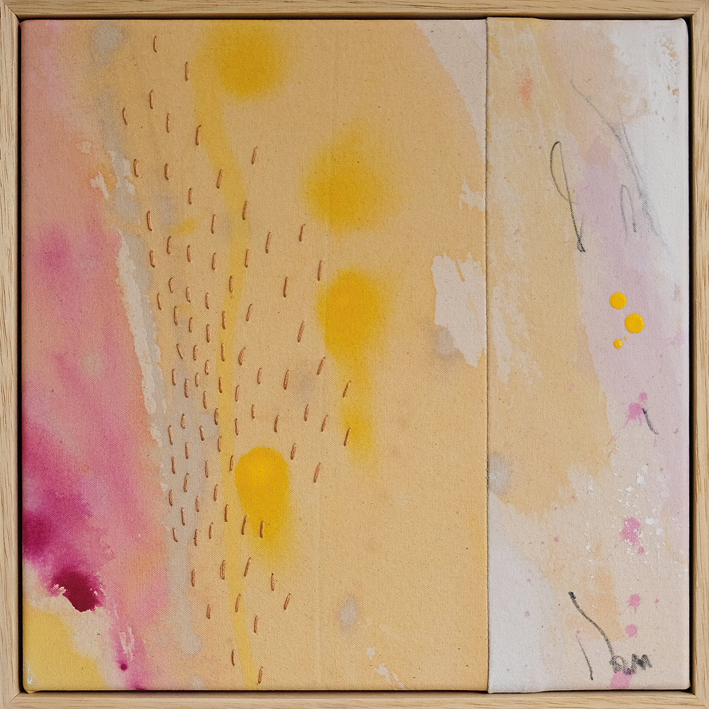 Salt &amp; Stitch - mini 12