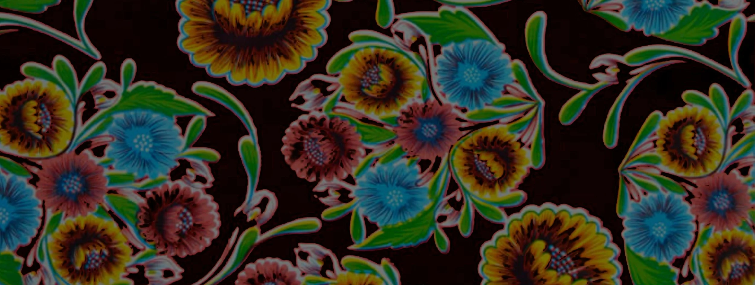 Website Contact Banner.jpg