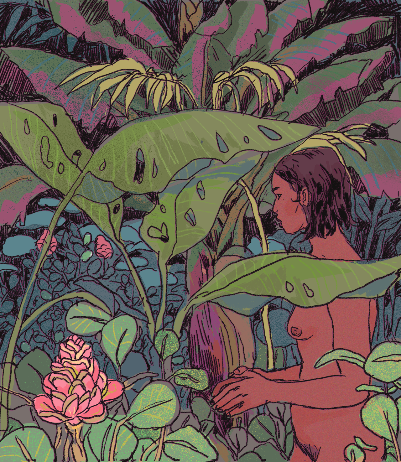 jungle.png