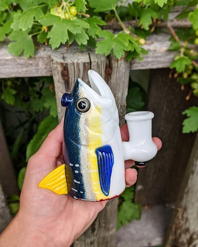Yellowfin Tuna 🎣