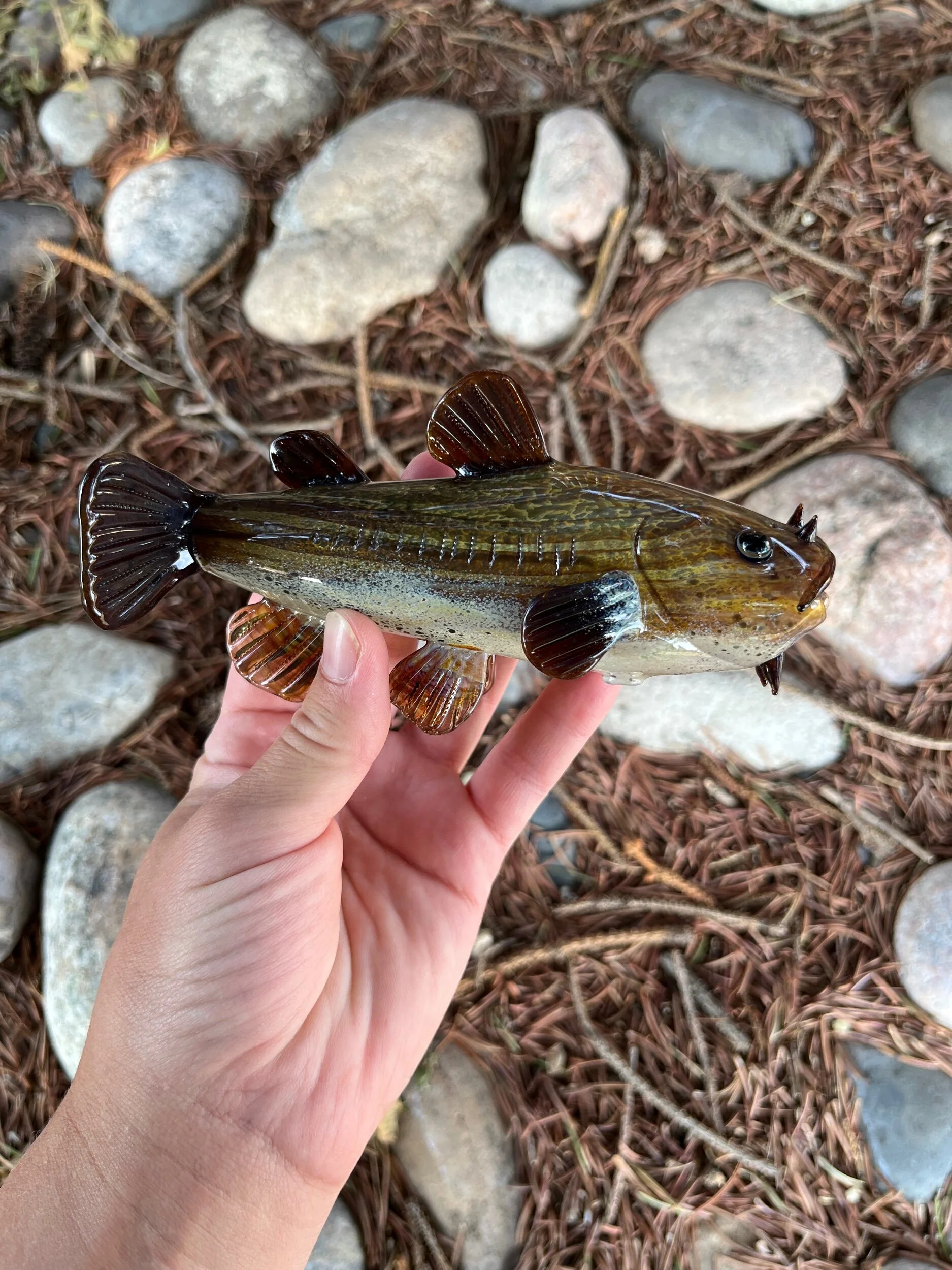 FAC1F519-52ED-4E29-9917-D727B8CA9C3F