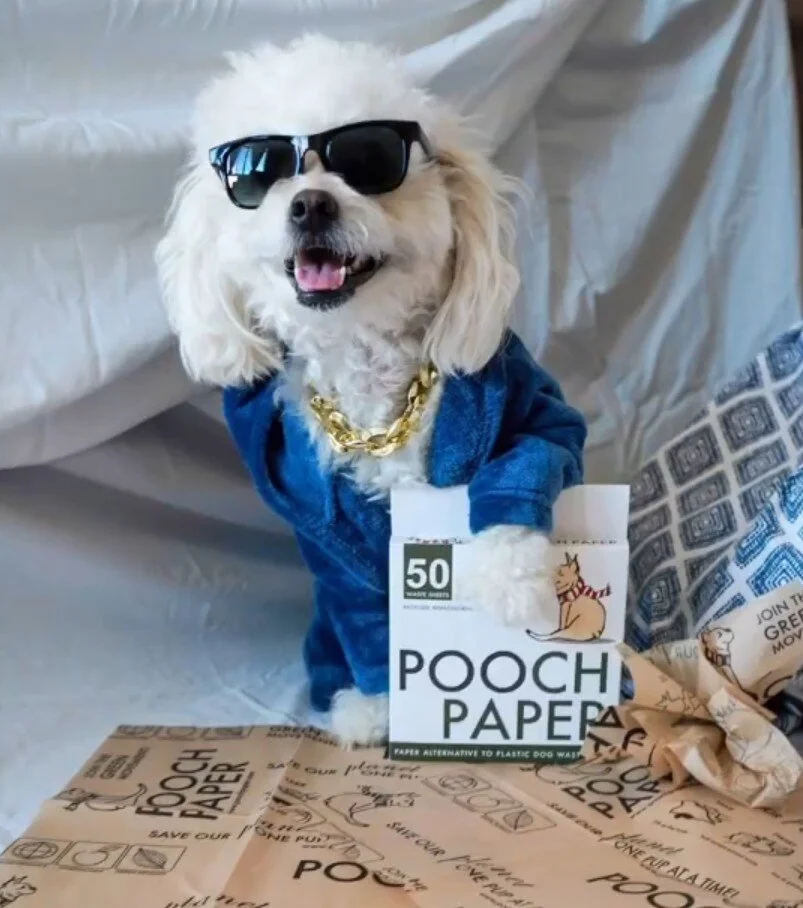 In the Press — Pooch Paper