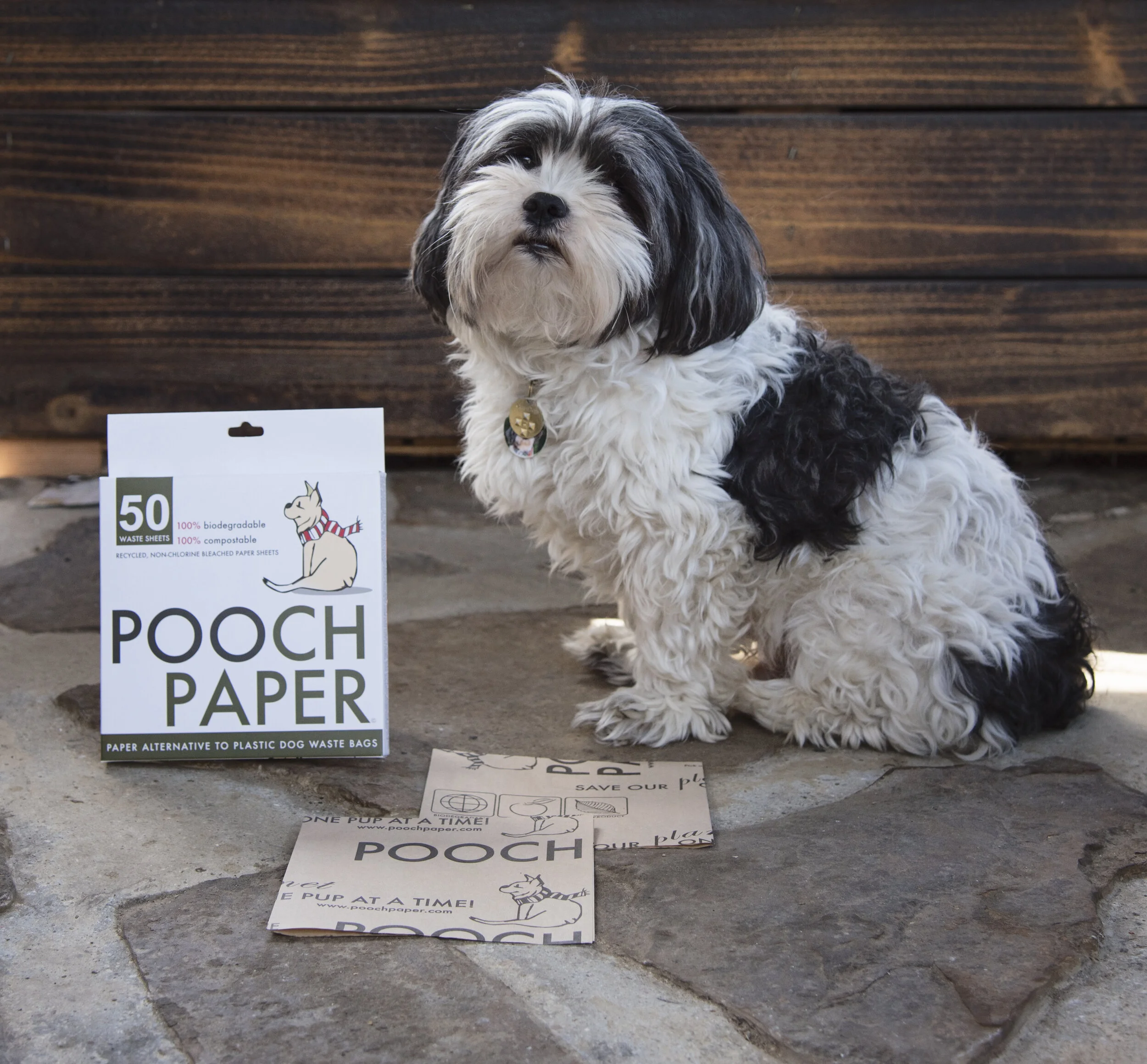 In the Press — Pooch Paper