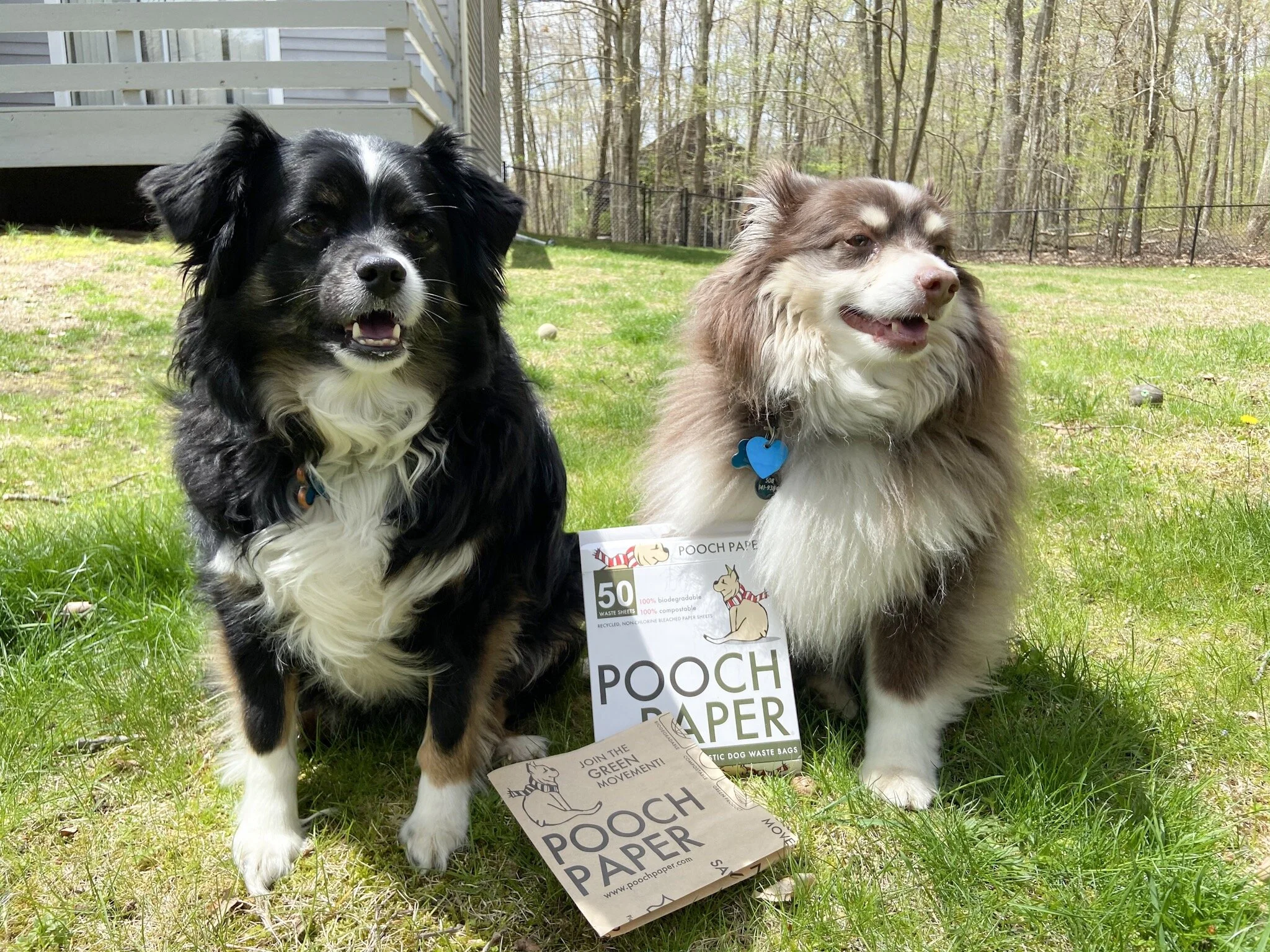 In the Press — Pooch Paper
