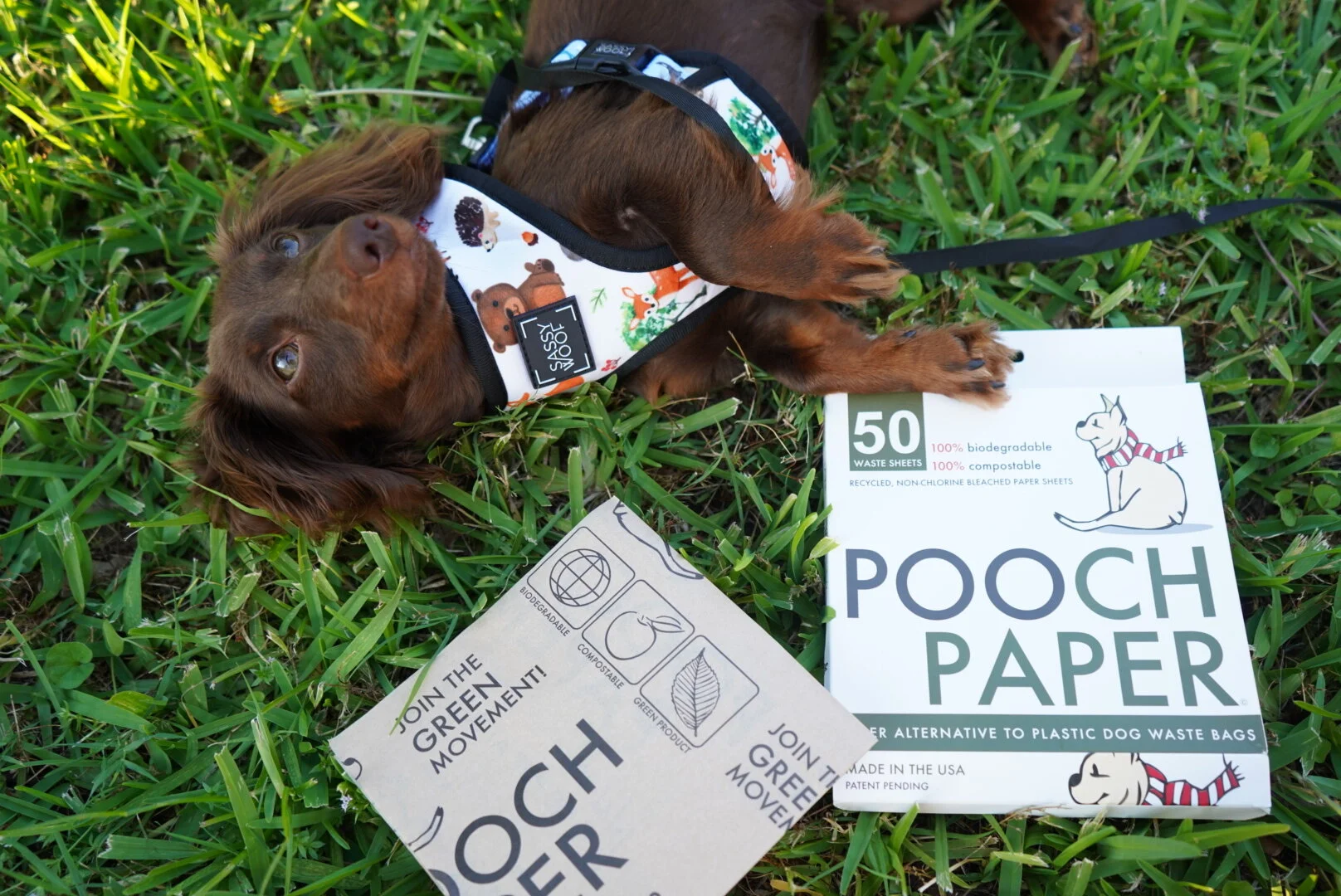 In the Press — Pooch Paper