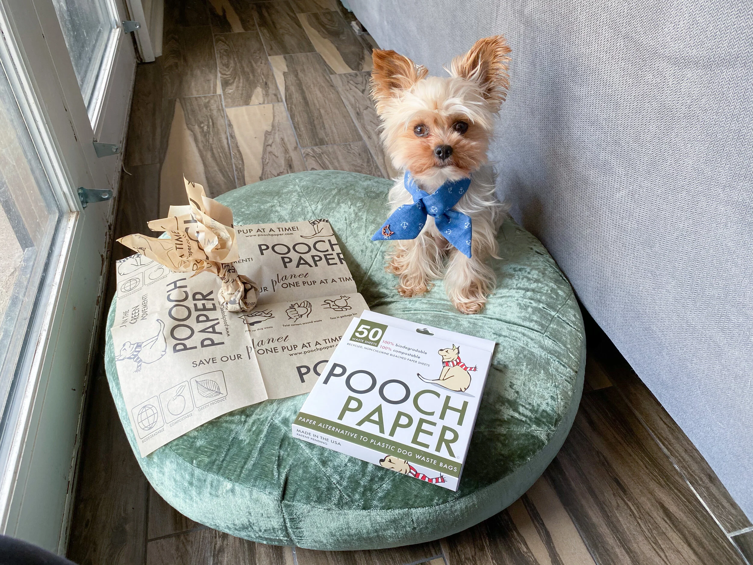 In the Press — Pooch Paper