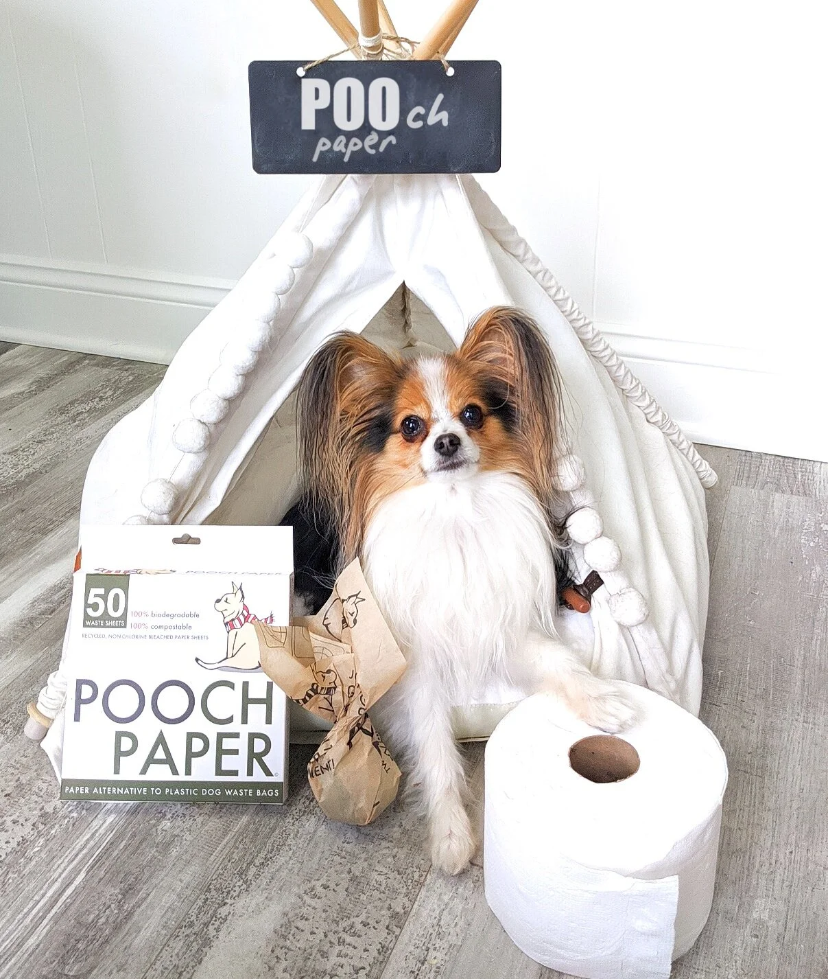 In the Press — Pooch Paper