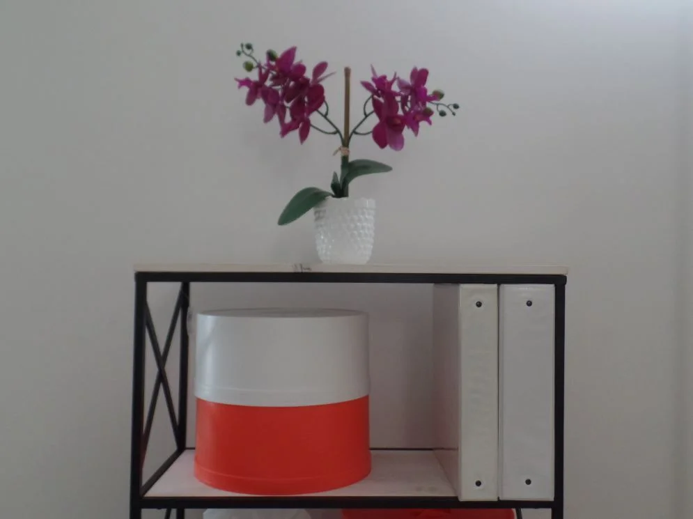 FSLLC_4red_shelf_binder.JPG