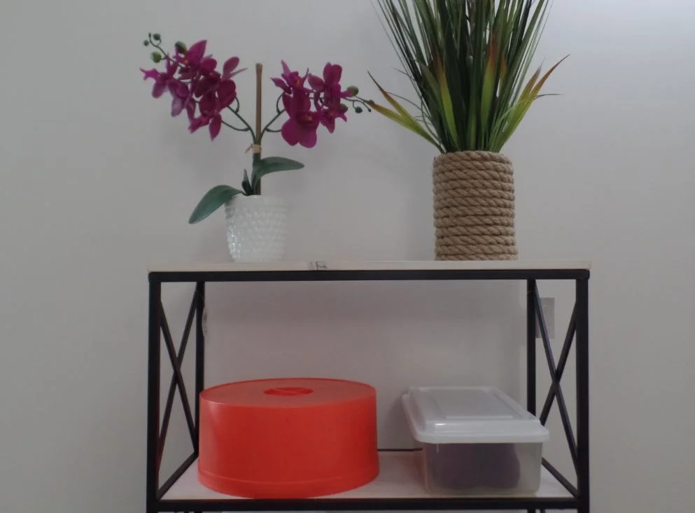 FSLLC_3red_shelf_box.JPG