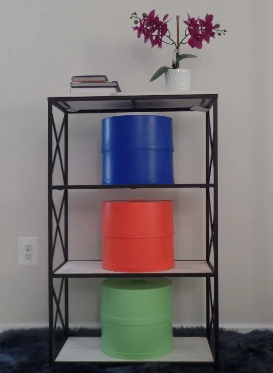 FSLLC_25redbluegreen_shelf_books.JPG