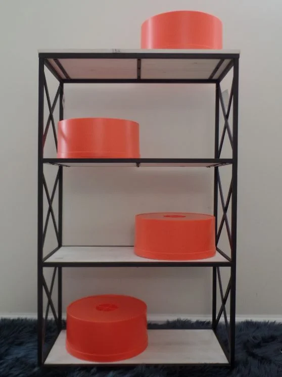 FSLLC_6red_shelf.JPG
