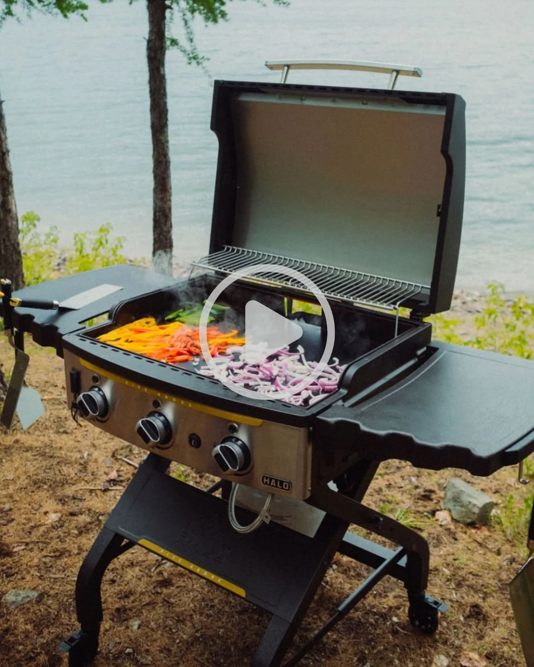 Untitled design (16).jpg