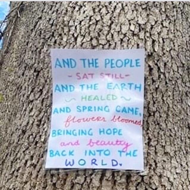 The tree notes, because the trees do know. Smallmagic#donations#treehugger