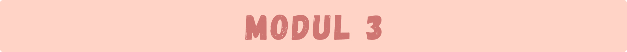 Modul3_02.jpg