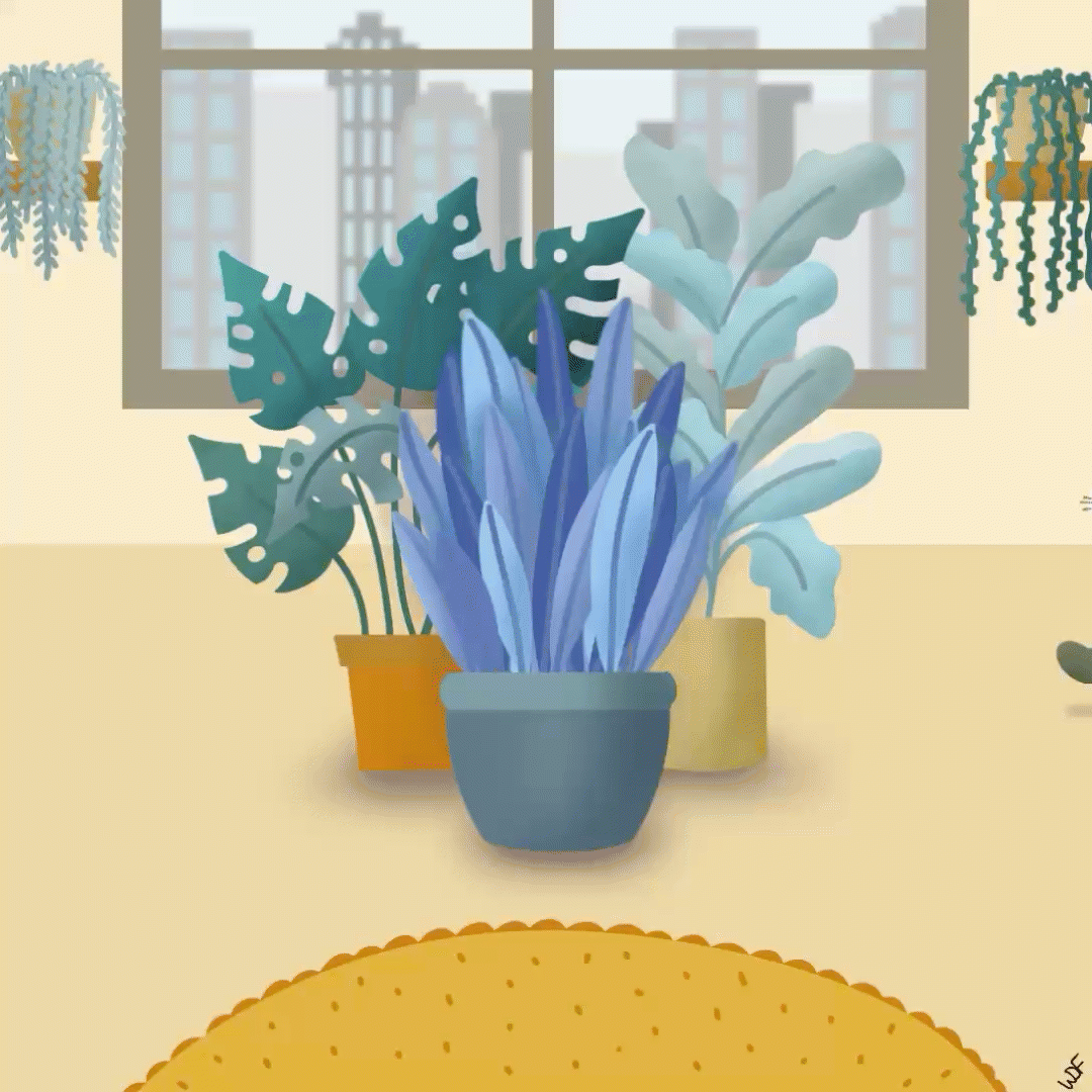 Bunte Zimmerpflanzen auf einer Fensterbank, darunter eine große Pflanze mit blauen Blättern, im Hintergrund ein Fenster mit Stadtblick.