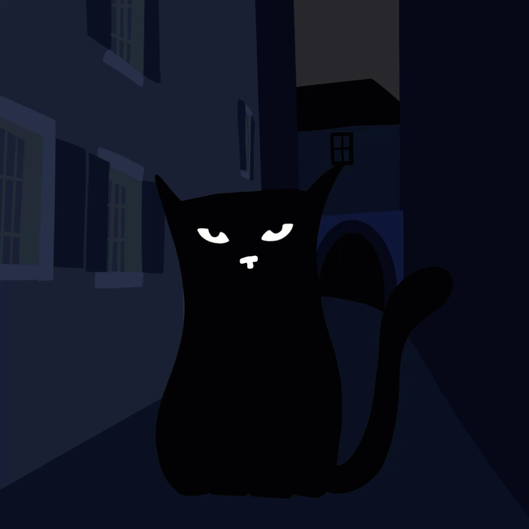 Schwarze Katze in einer nächtlichen Straße vor Häusern