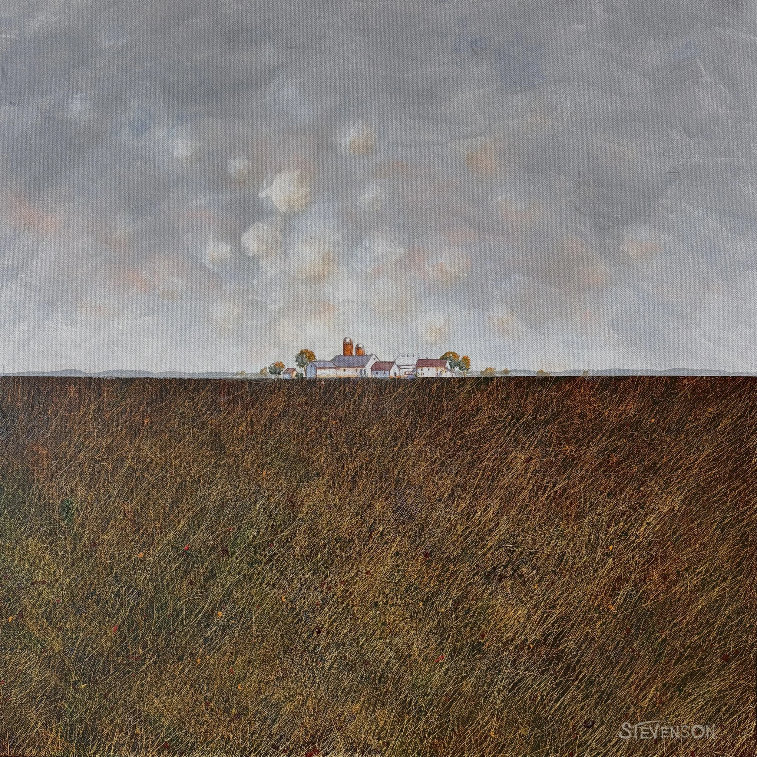 Biospheres: # 45 - 2’ x. 2’