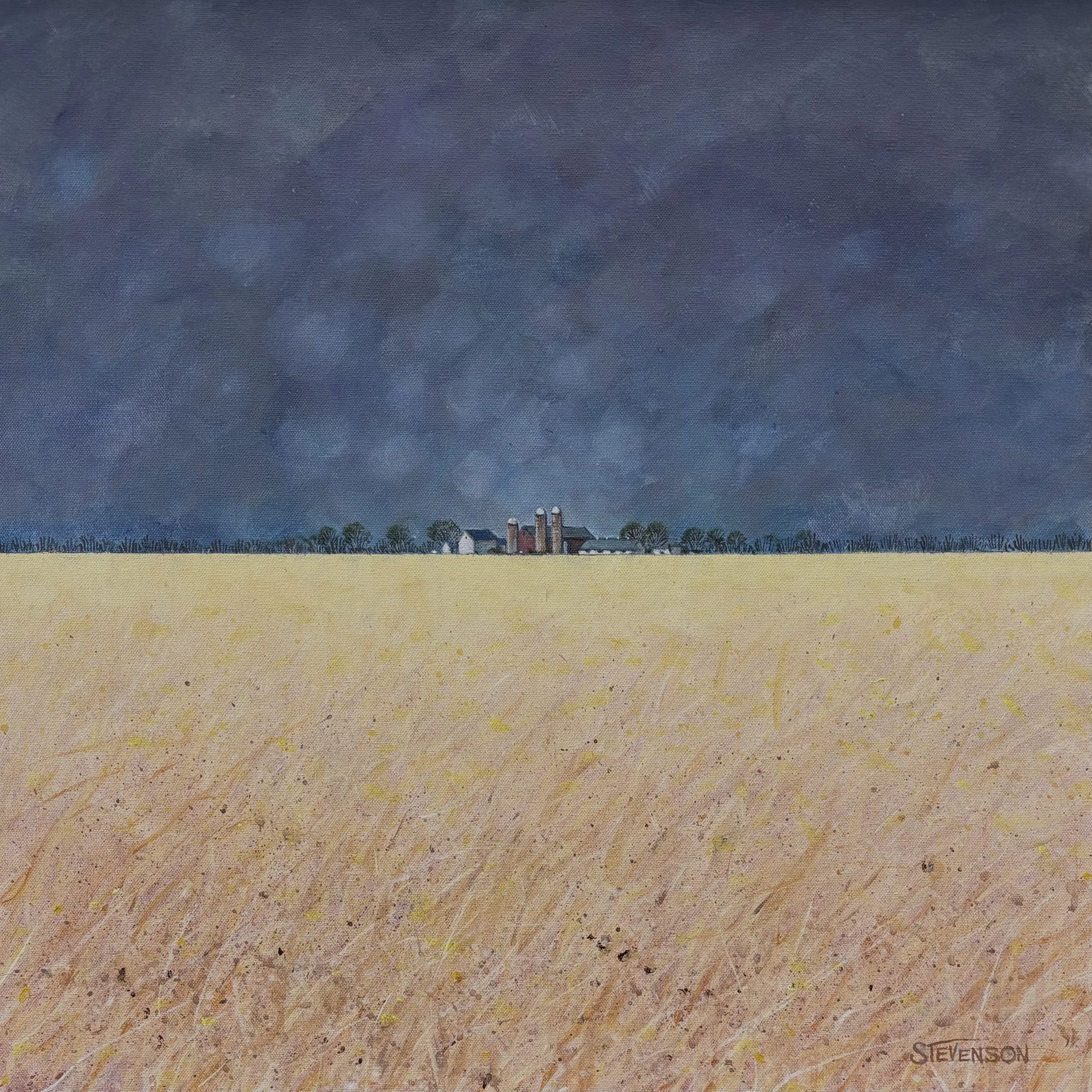 Biospheres III:   #48   (24”x 24”)