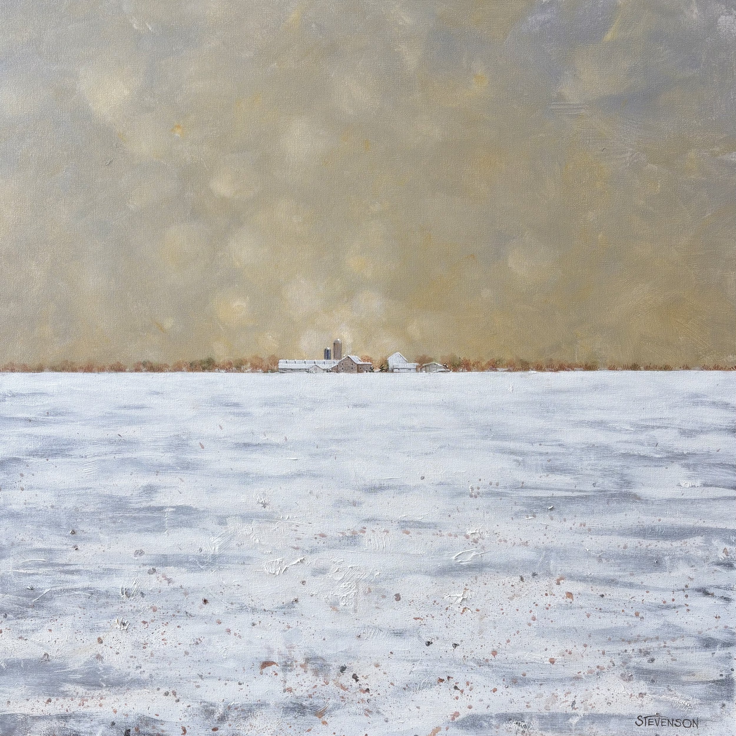 Biospheres III:  #49