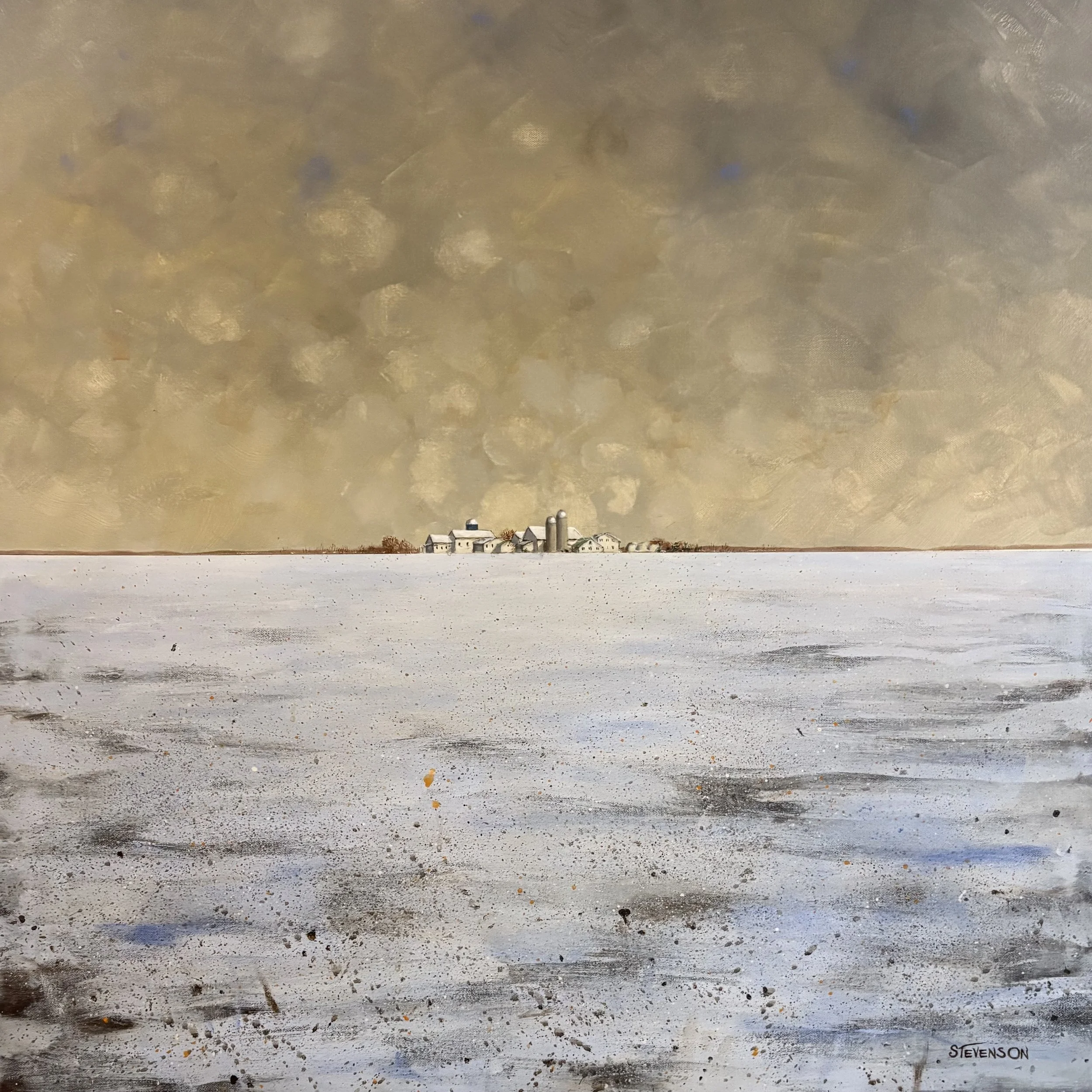 Biospheres: 36” x 36” - #55