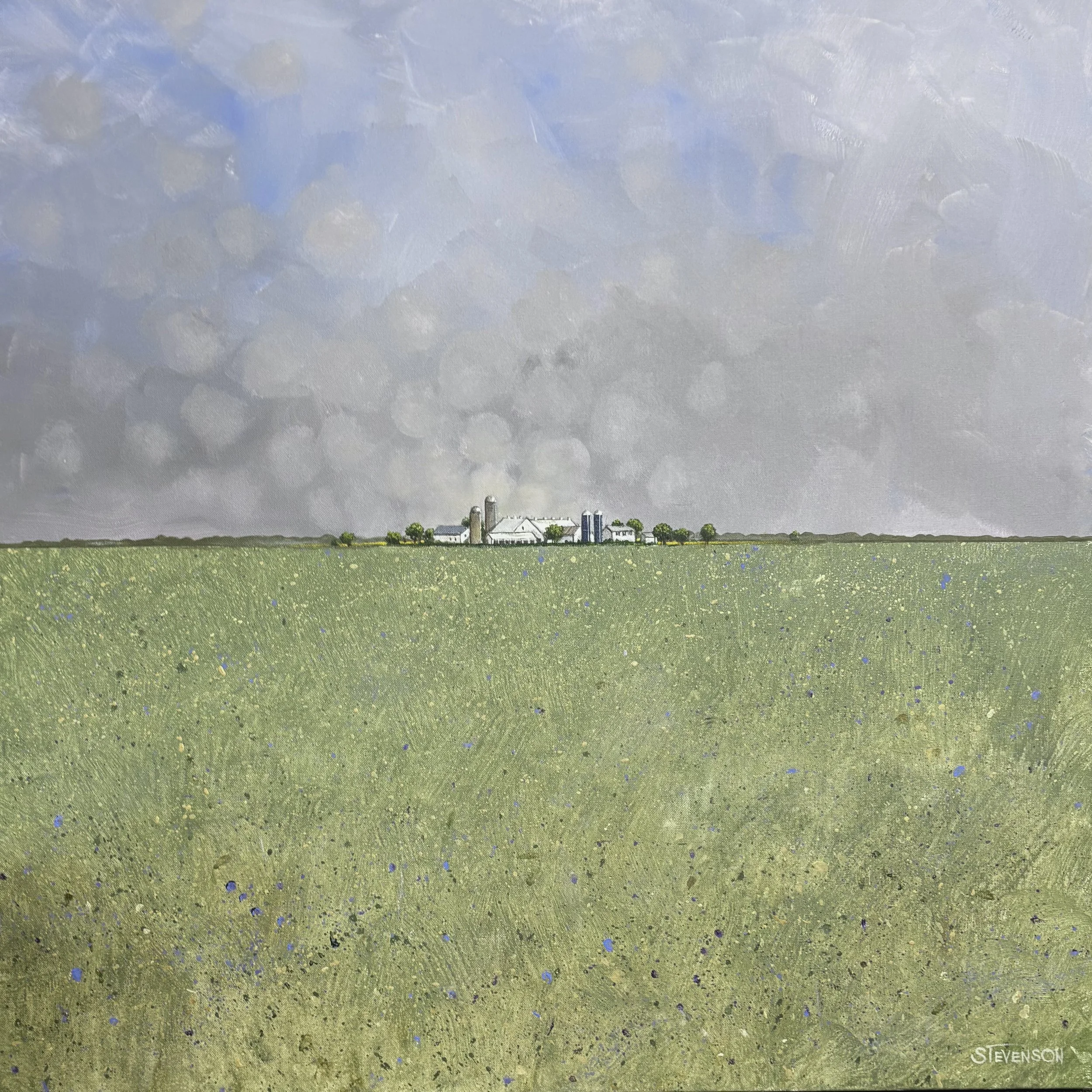 Biospheres: 36” x 36” - #56